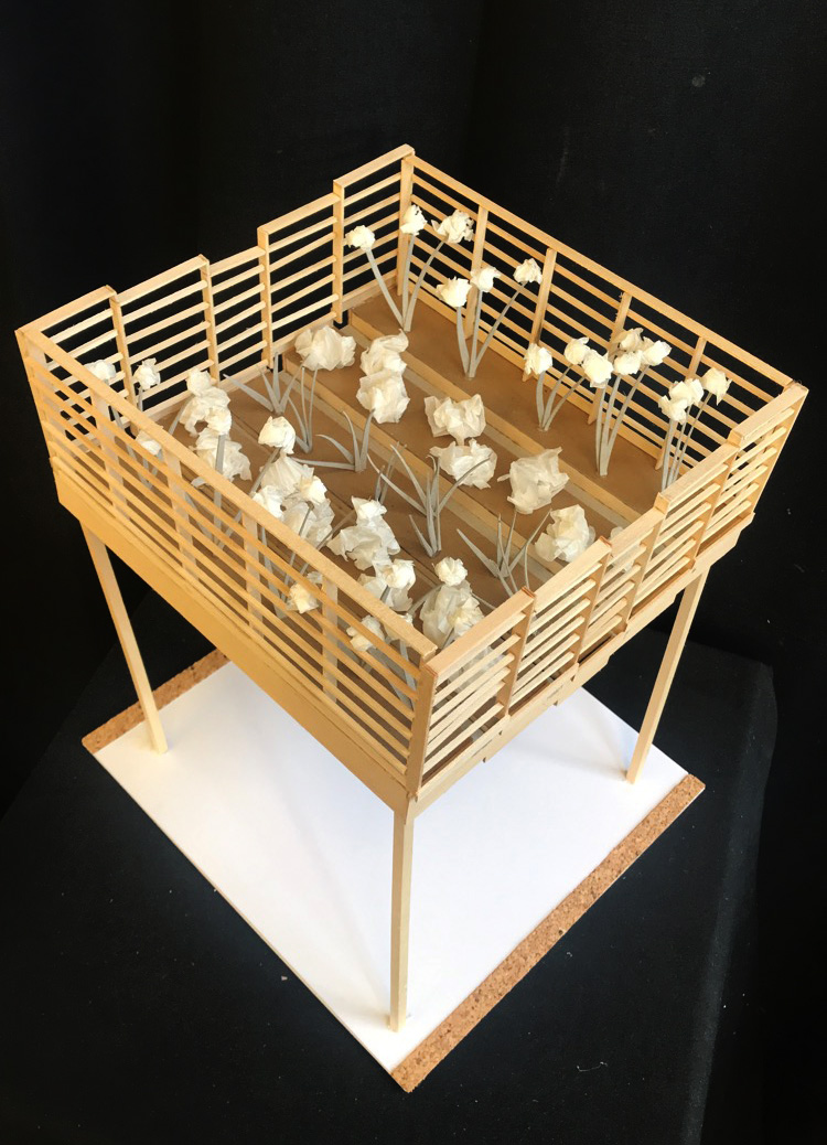 Model
