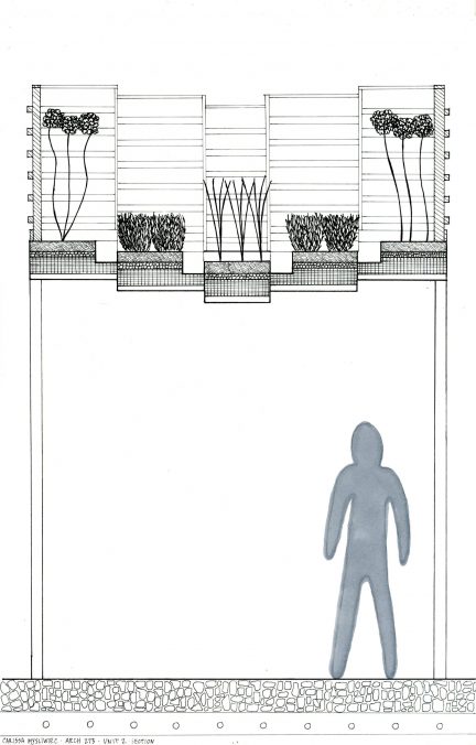 Section drawing of green roof