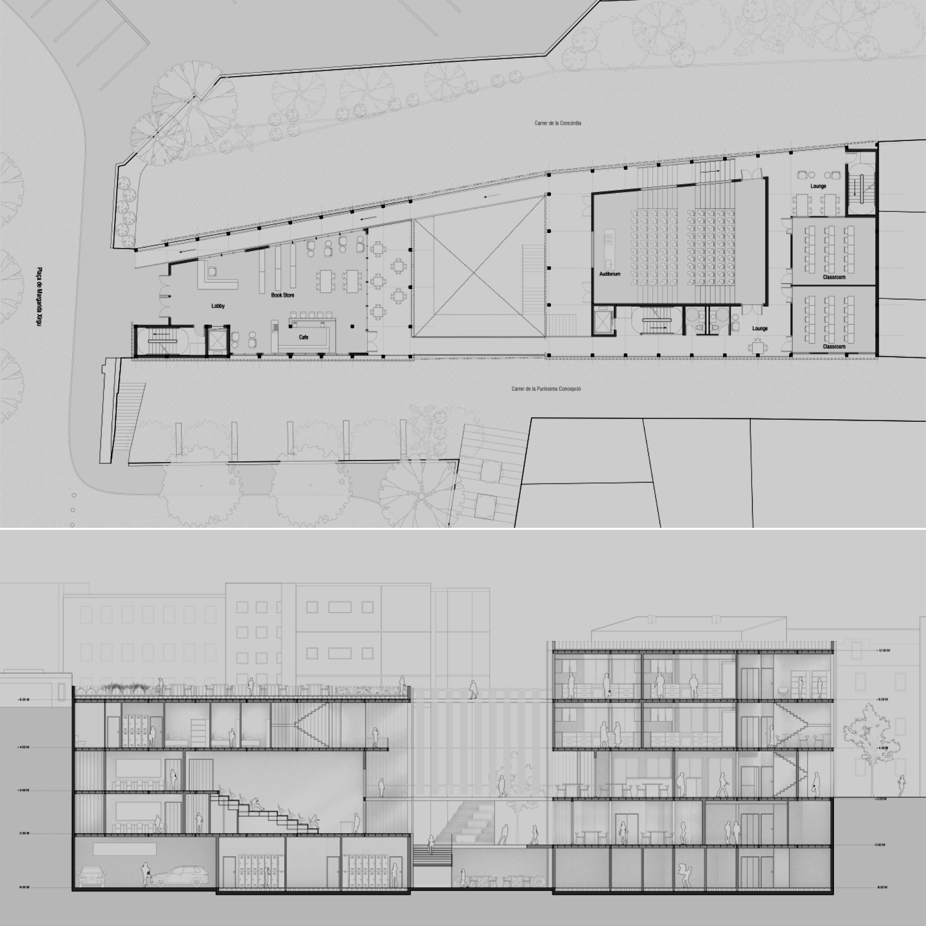 plan and section