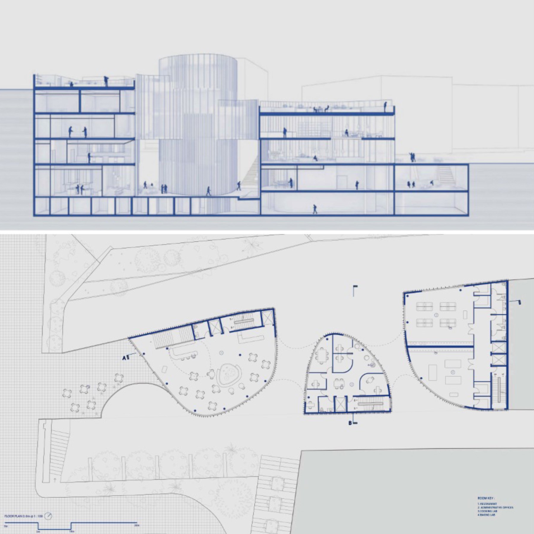 section and plan