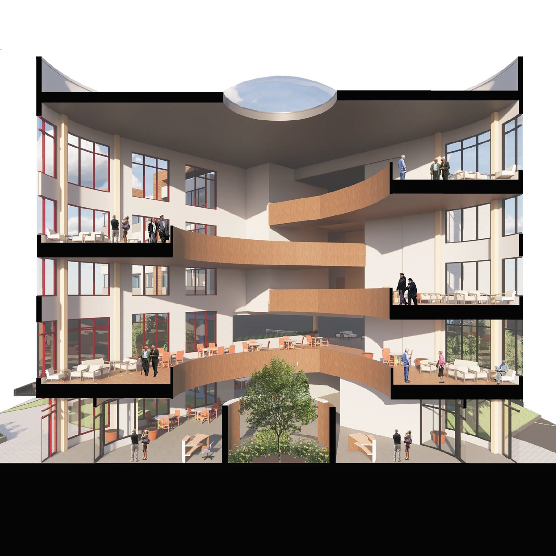 section perspective