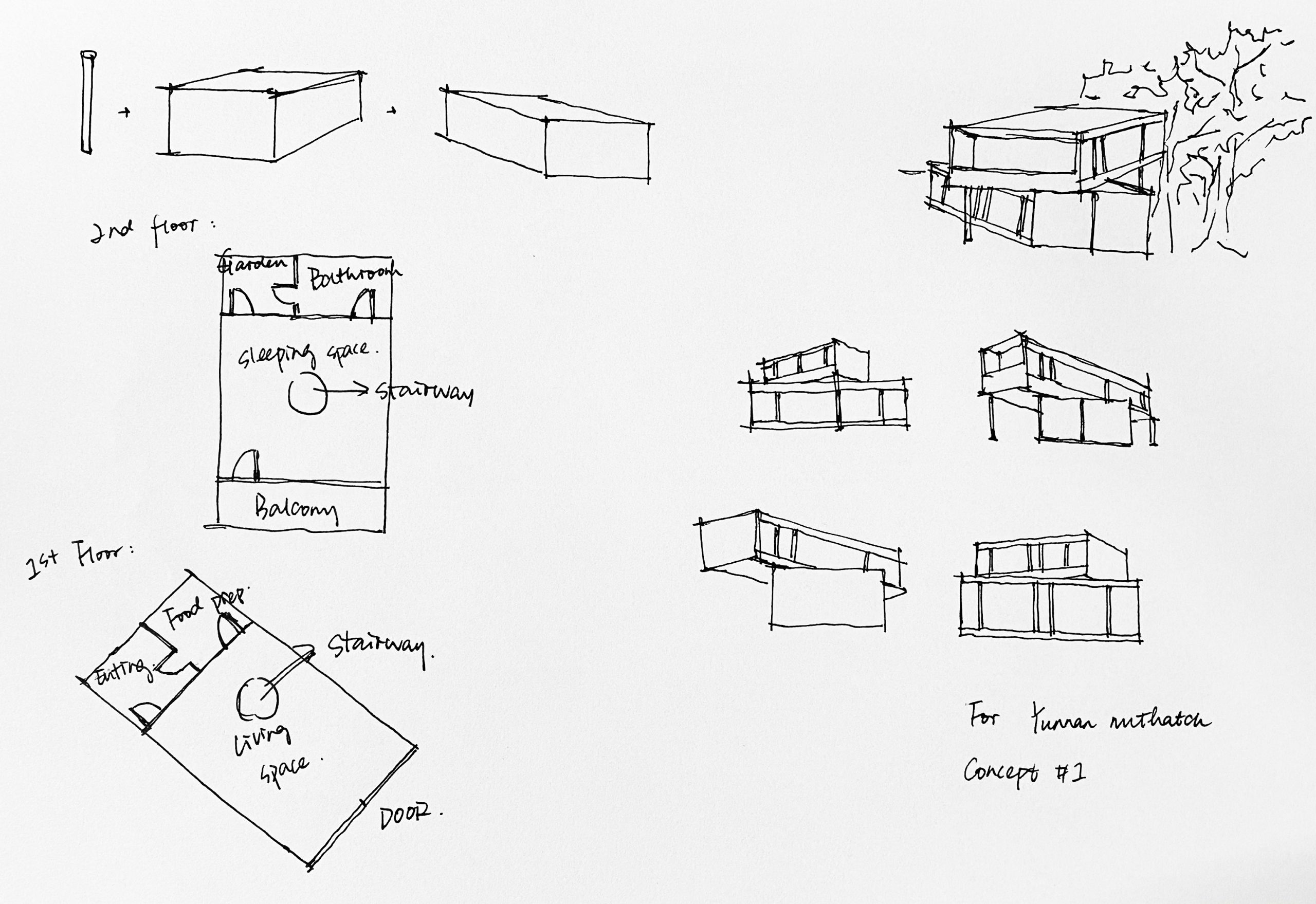 sketches