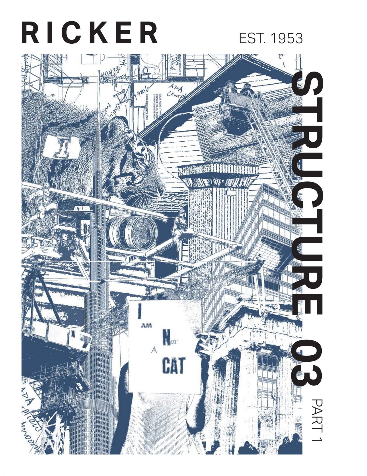 Current cover of the Ricker Report