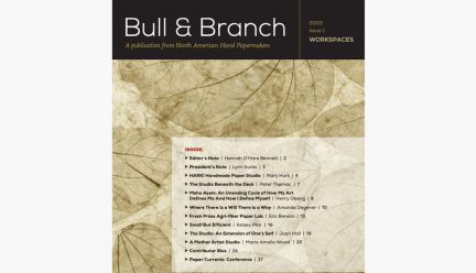 Cover of Bull and Branch