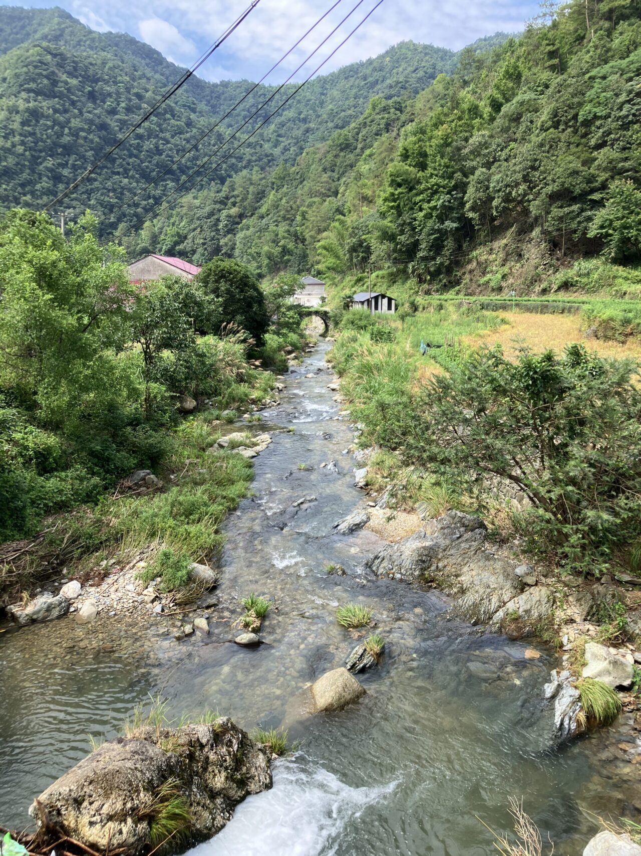 Stream in green landscape