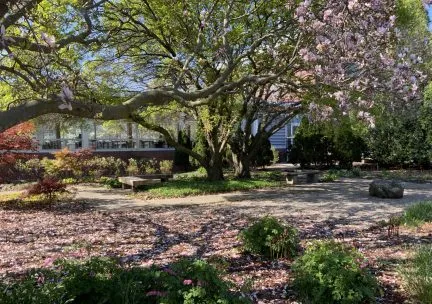 View of spring blooms in the north garden at the Art &amp; Design Building