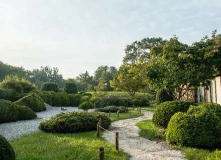 View of the Japanese garden at the Japan House with soft green forms and the tea house at the right