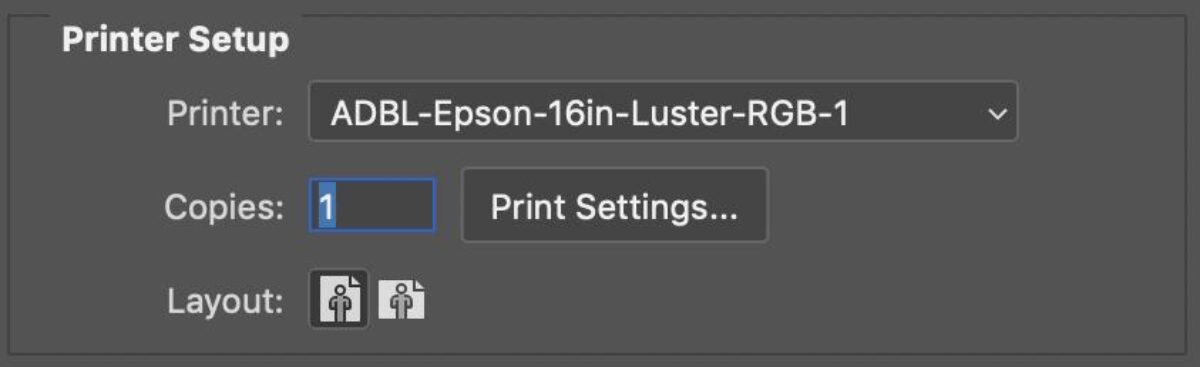 Layout Options and Print Settings Button