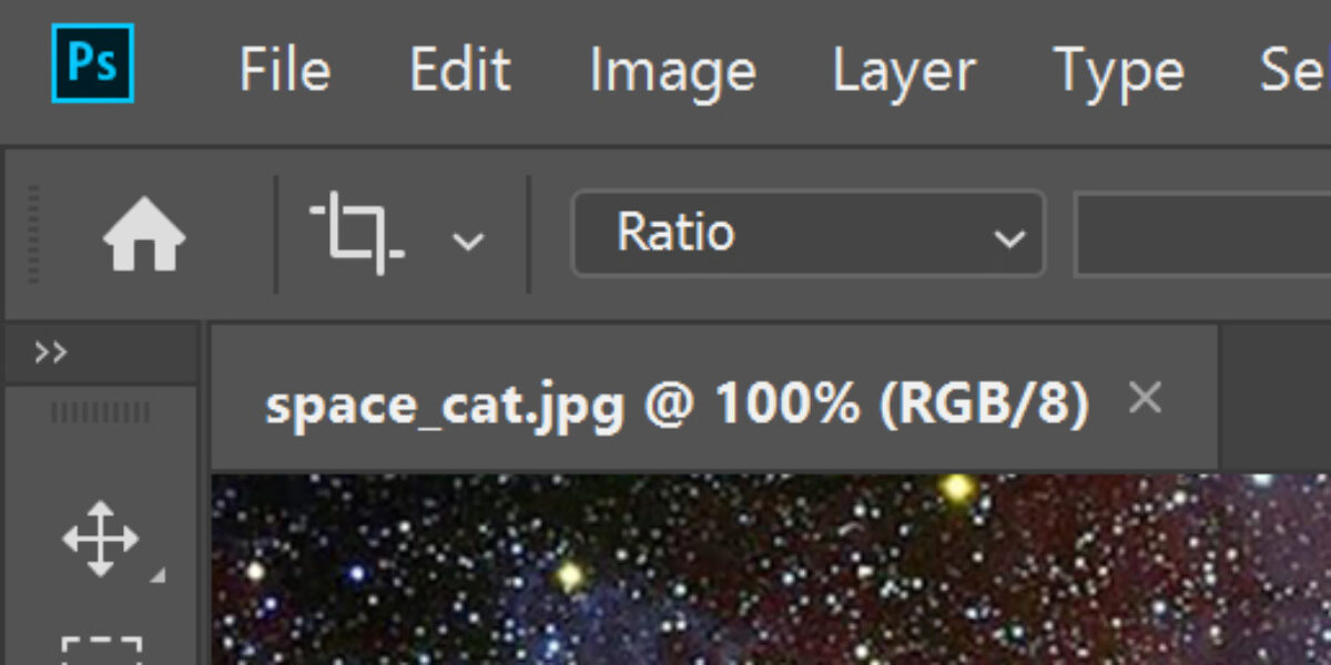 JPG File in the RGB Colorspace