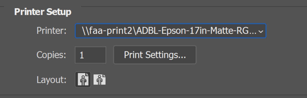 Layout Options and Print Settings Button