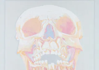 drawn and painted skeleton face
