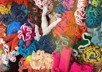 a collection of crocheted forms that together make the appearance of a coral reef