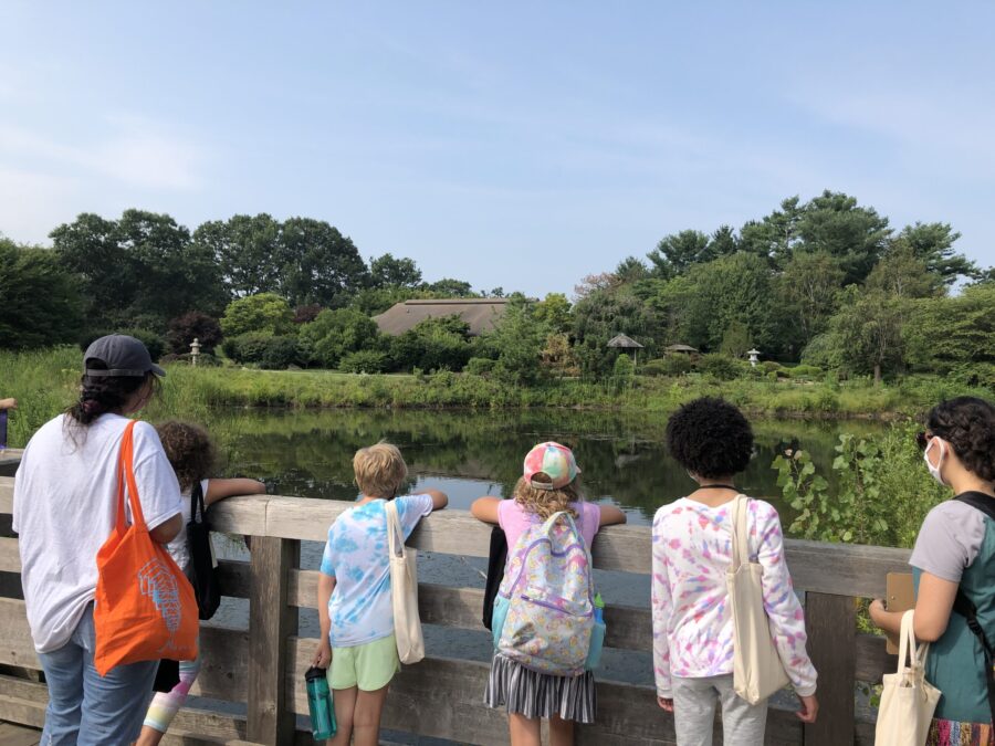 group of children and their teacher look over a bridge into a pond on a clear day