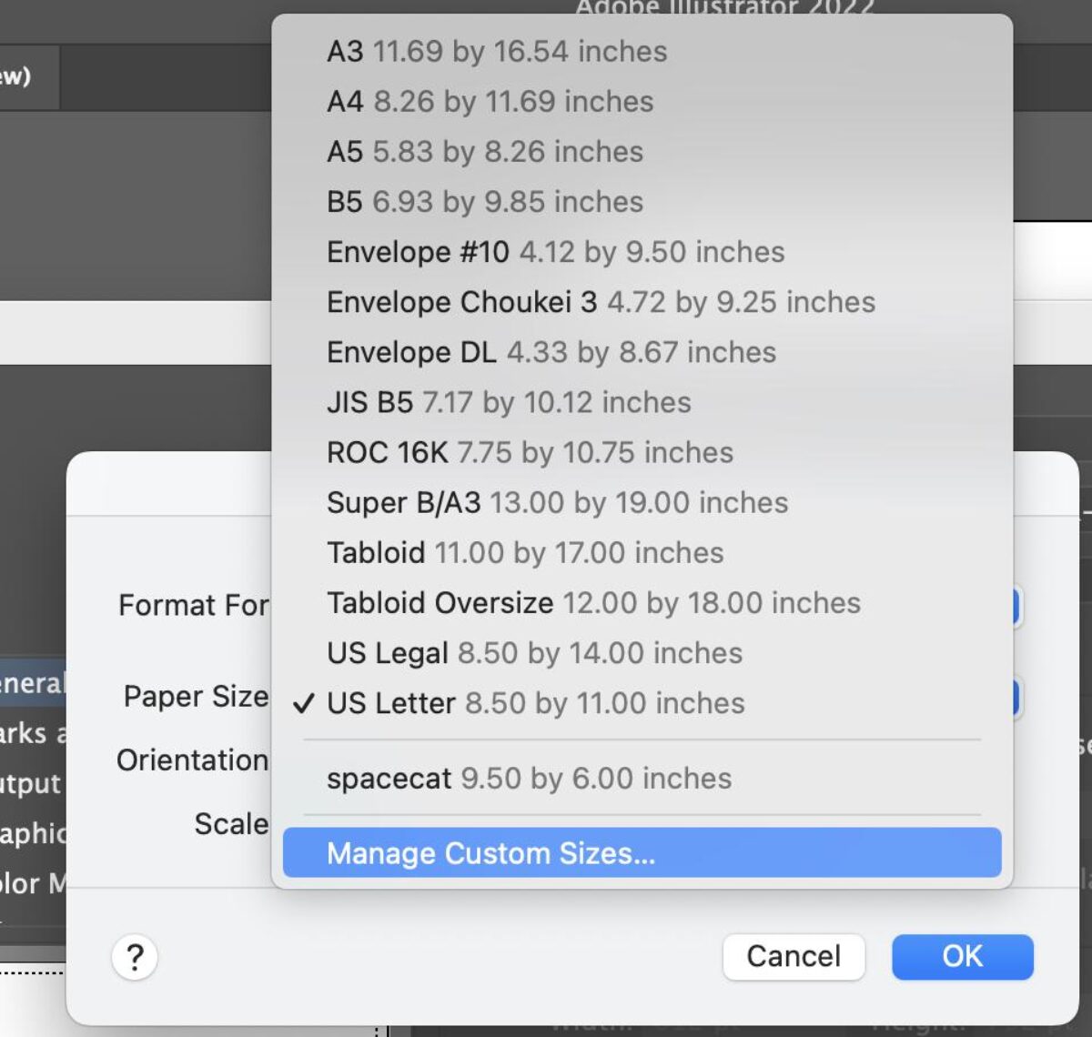 Manage Custom Sizes