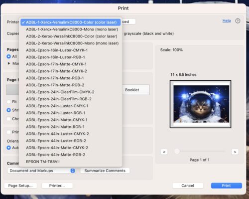 Acrobat Print Menu