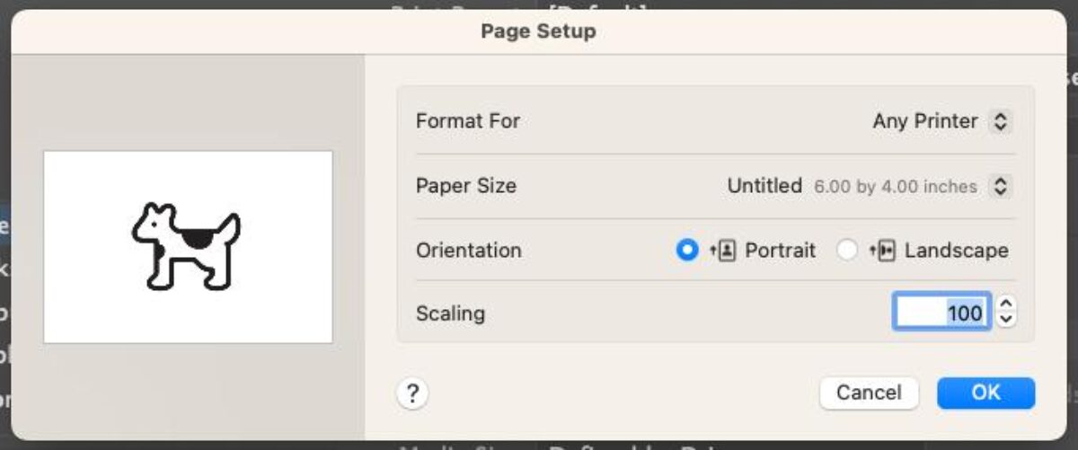 Confirm Paper Size and Settings 