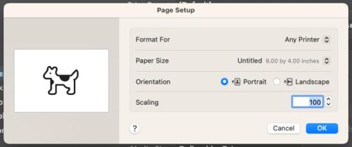 Fig 6 - Confirm Paper Size and Settings 