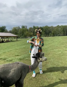 Young woman feeding a llama