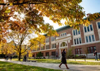 bright sunlight shining through trees on main quad. brick building in background and students walking on sidewalks