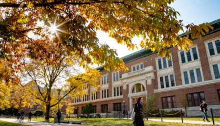 bright sunlight shining through trees on main quad. brick building in background and students walking on sidewalks