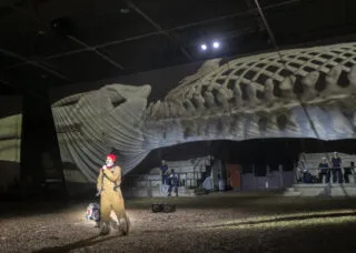 Man with Whale Installation in background