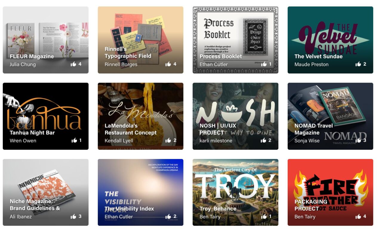 9 images of Student Work from https://www.behance.net/GDillinois