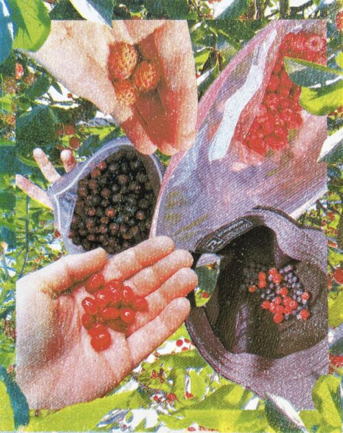 hands with berries