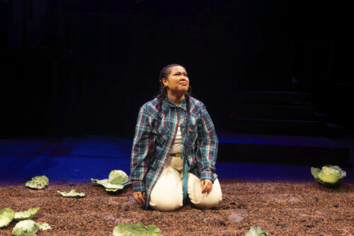 person onstage kneeling in lettuce field