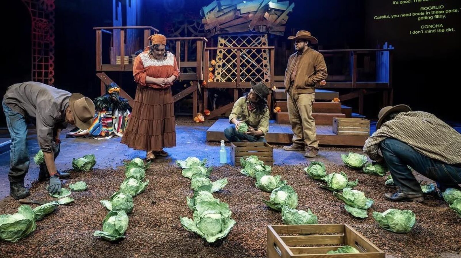 several people onstage in a lettuce field