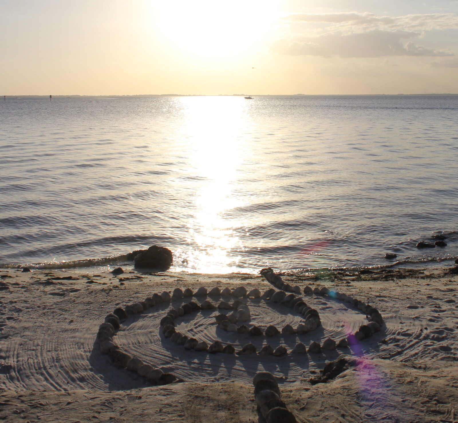 land art constructed of sinistrofulgar shells