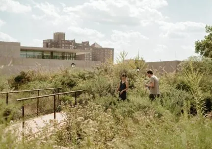 two people in field with walkway bridge