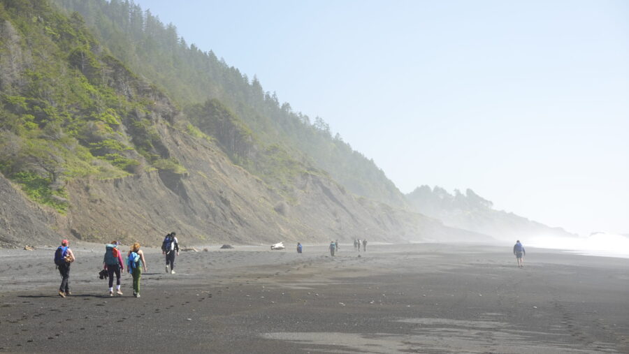 students on beach