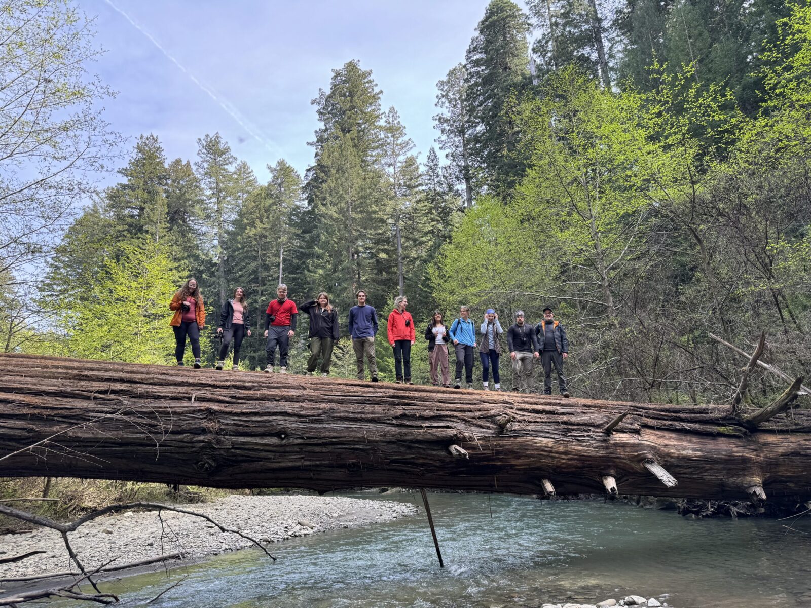 students on log across river