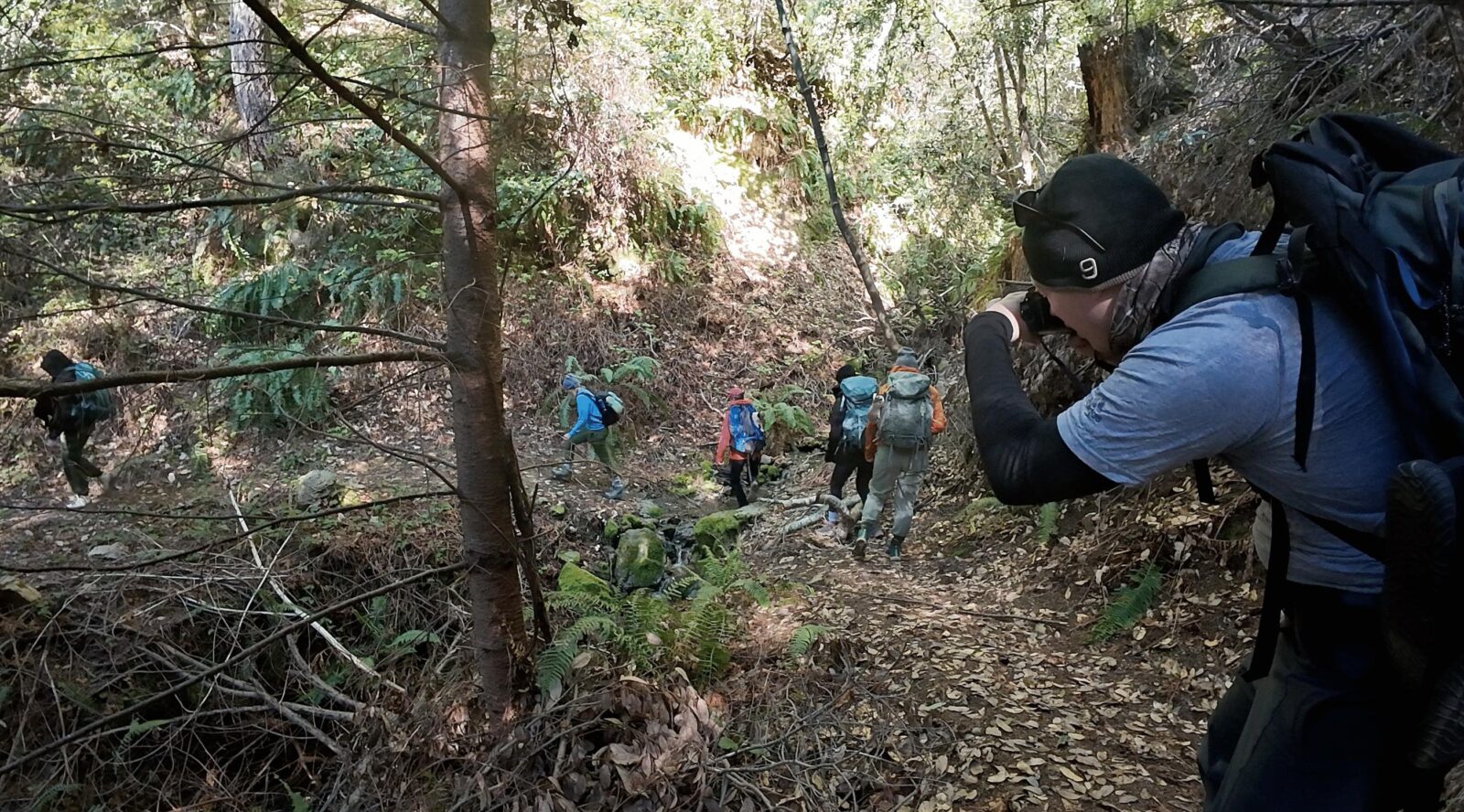 students in forest