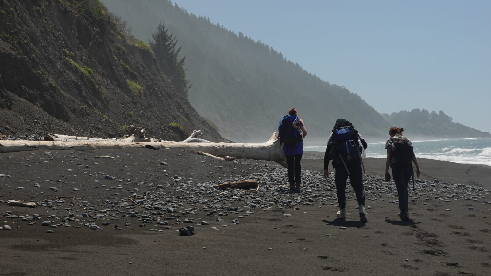 walking along the Lost Coast