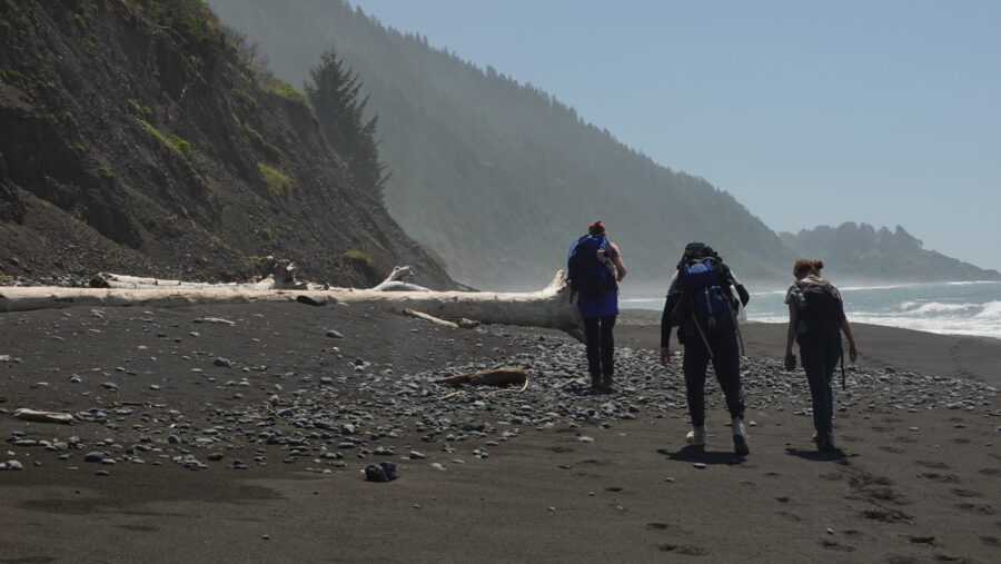walking along the Lost Coast
