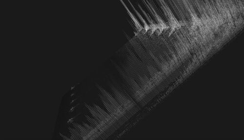 3d spectogram with lines showing bat echolocations